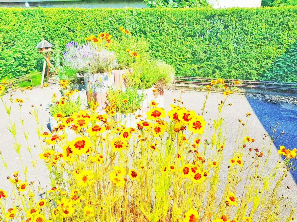 Hotel Sonne Friedrichshafen Dış mekan fotoğraf